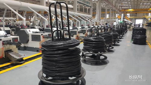 河北加快推進(jìn)縣域特色產(chǎn)業(yè)提質(zhì)升級(jí) 以螺栓產(chǎn)業(yè)為例，提升四個(gè)能力優(yōu)化產(chǎn)業(yè)生態(tài)