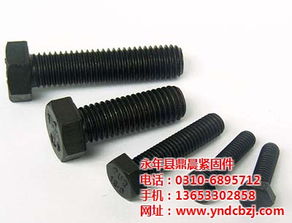 福建鼎晨緊固件 專注提供優(yōu)質(zhì)10.9級(jí)高強(qiáng)度螺栓的專業(yè)商家